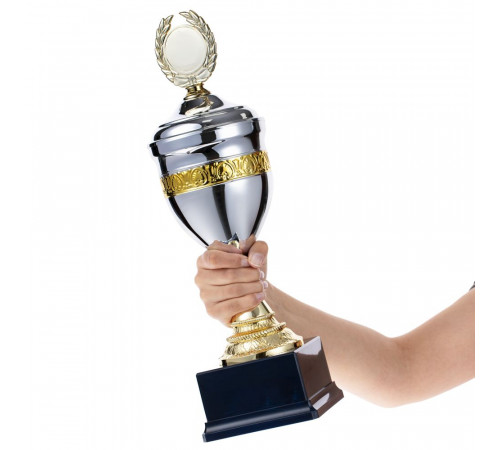 Кубок EnterPrize, серебристый