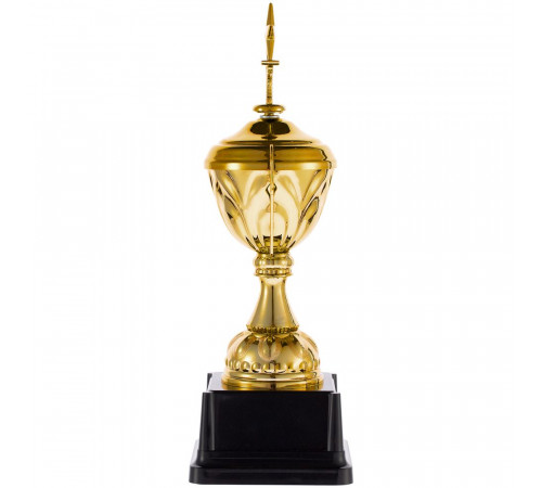 Кубок Top Star, золотистый