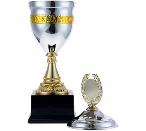 Кубок EnterPrize, серебристый