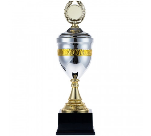 Кубок EnterPrize, серебристый