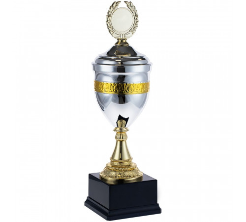 Кубок EnterPrize, серебристый